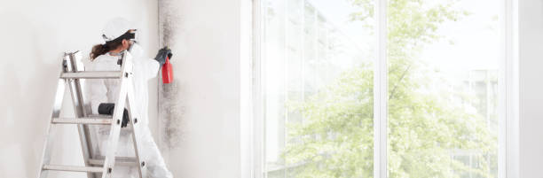 Best Water Damage & Mold Remediation  in Canton, OH