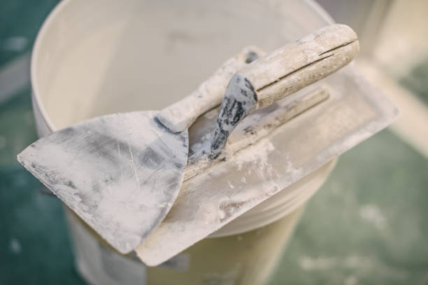 Best Real Estate Mold Inspection  in Canton, OH
